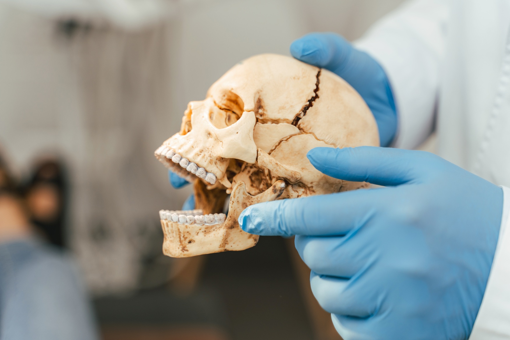 close up of doctor orthodontist explaining dental 2026