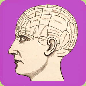 brain-limbic