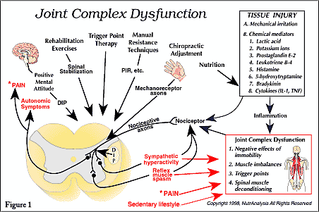 Joint complex dysfunction