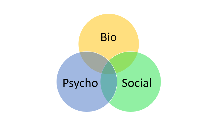 biopsychosocial