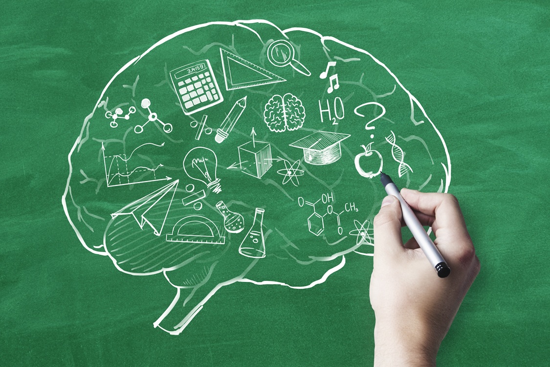 creative brain outline with educational sketch on 2026