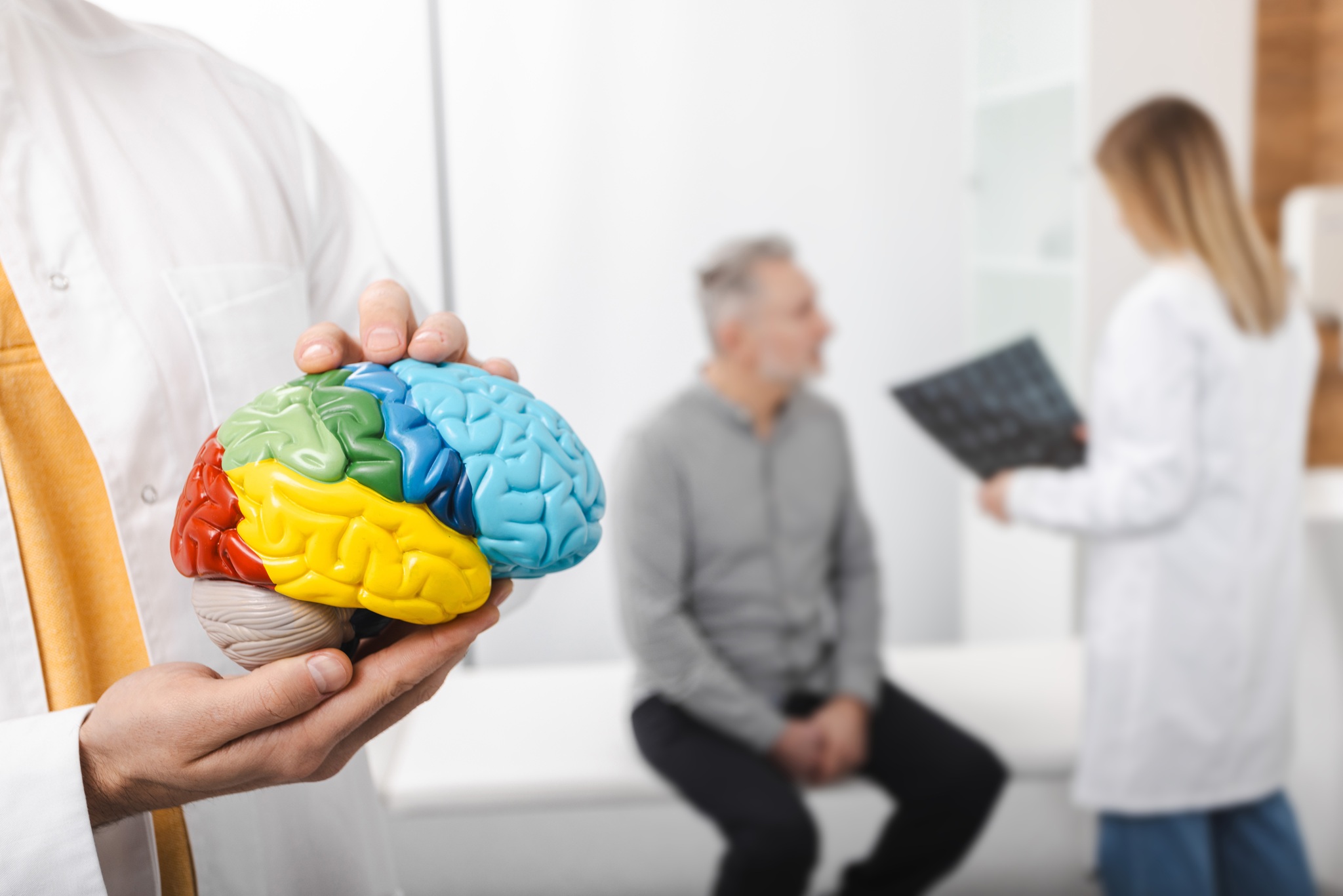doctor with brain model consults with patient 2026