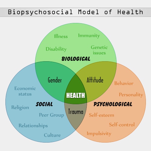 500 biopsychosocial model