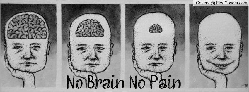 no brain no pain-428593